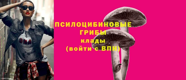 альфа пвп Нягань